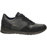 NeroGiardini  Sneaker A800460U