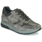 IgI CO  Sneaker UOMO SNOKER GTX