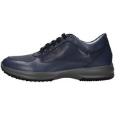 IgI CO  Sneaker 5117111