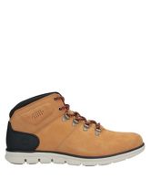 TIMBERLAND High Sneakers & Tennisschuhe