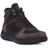 IgI CO  Turnschuhe NERO
