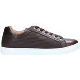 NeroGiardini  Sneaker P800282U
