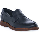 Frau  Herrenschuhe BLU SPINNER