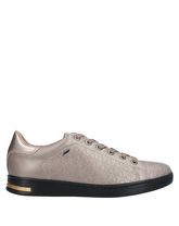 GEOX Low Sneakers & Tennisschuhe