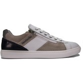 NeroGiardini  Sneaker NGUPE21-001542-whi