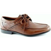 Lion  Herrenschuhe LIO-CCC-20684-TA