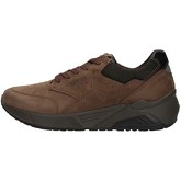 IgI CO  Sneaker 6142722