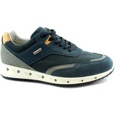 IgI CO  Sneaker IGI-E20-25300-AZ