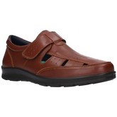 Pitillos  Sandalen 4002 Hombre Marron