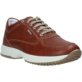 IgI CO  Sneaker 5117122