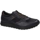 IgI CO  Sneaker 2136466
