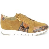 Boissy  Sneaker Verone Ocre