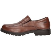 IgI CO  Herrenschuhe 6103011 Bummler Mann Braun
