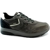 IgI CO  Sneaker IGI-I19-4134822-NA