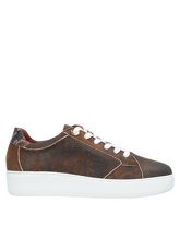 ROBERTO BOTTICELLI Low Sneakers & Tennisschuhe