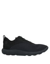 TIMBERLAND Low Sneakers & Tennisschuhe