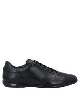 ROBERTO BOTTICELLI Low Sneakers & Tennisschuhe