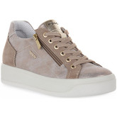 IgI CO  Sneaker AVA TAUPE