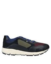 D’ACQUASPARTA Low Sneakers & Tennisschuhe