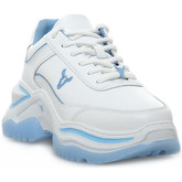 Windsor Smith  Sneaker CHAOS BRAVE WHITE SKY BLUE