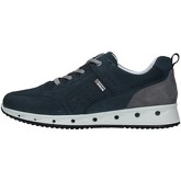 IgI CO  Sneaker 7121000