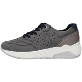 IgI CO  Sneaker 3129011