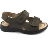 Robert  Sandalen ROB-CCC-03310-MA