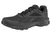 Reebok Walkingschuh RIDGERIDER 5 GORE-TEX M