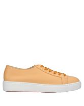 SANTONI Low Sneakers & Tennisschuhe